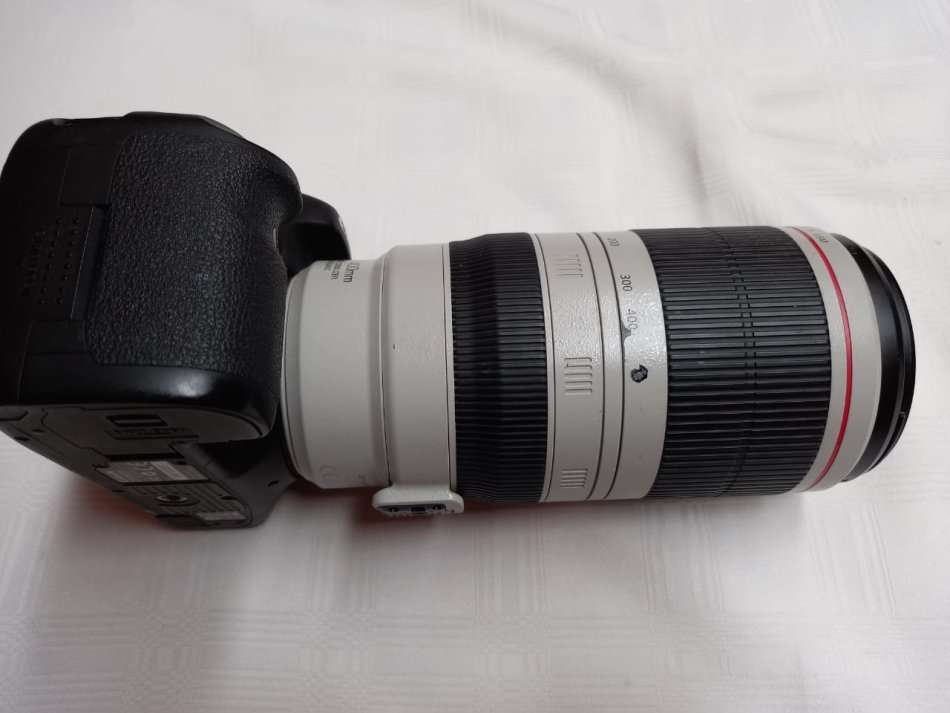 Canon 7D + Canon 100-400mm Mark II Lens + Free Tripod