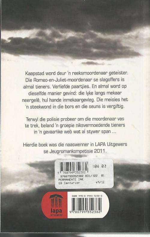 Permanente Ink - Carina Diedericks-Hugo.