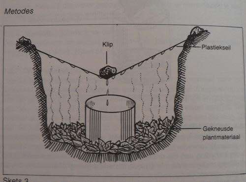 Oorlewing - PJ du Preez. Lees asb beskrywing.