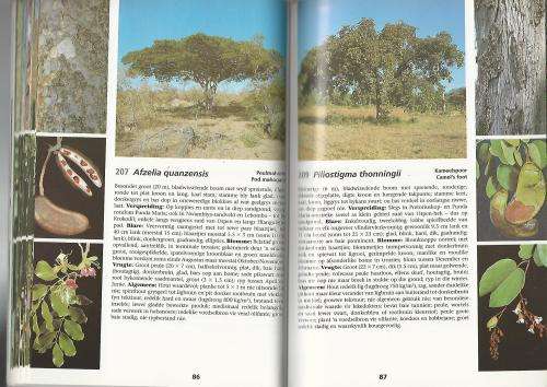 Veldgids tot die bome van die Nasionale Kruger Wildtuin. Piet van Wyk.