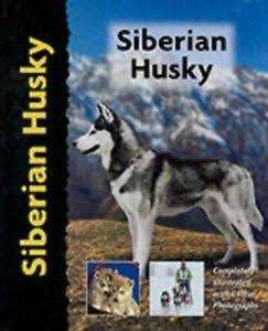 Siberian Husky - Lorna Winslette. New.