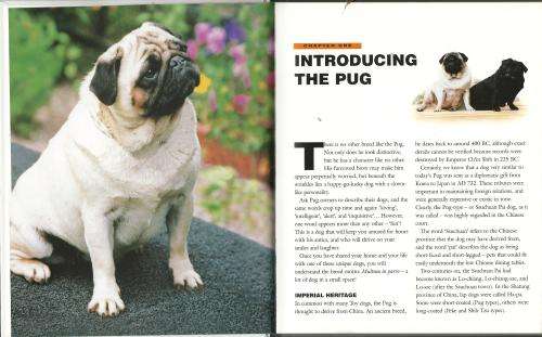 Living with a Pug. Ed: Alison Mount. NEW.