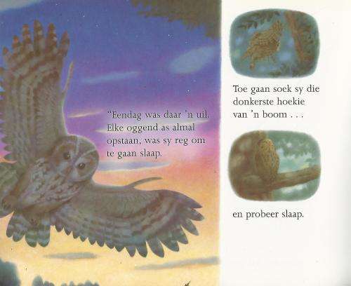 Slaaptydstories vir Kinders.