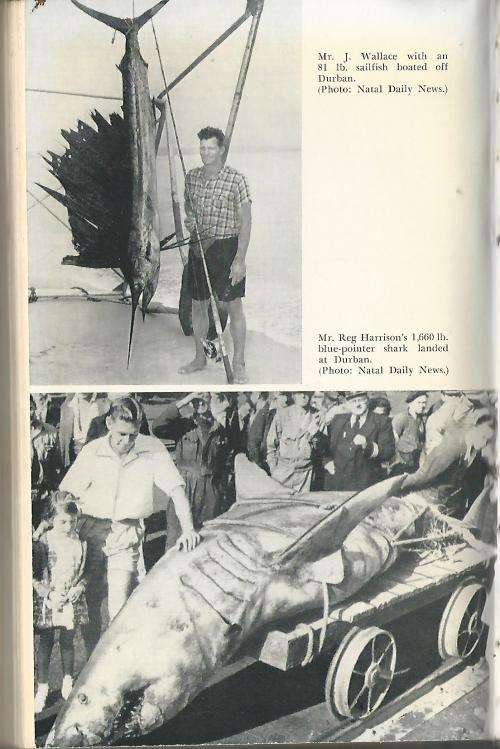 Fisherman's Eldorado - Charles Horne.