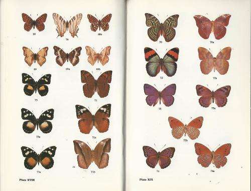 Butterflies of Rhodesia - R Cooper.  Bundu Series.