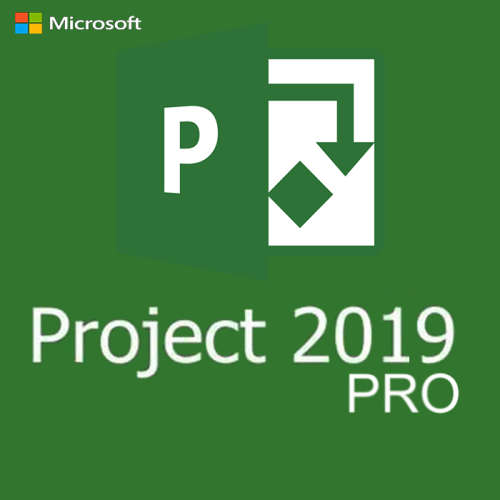 Microsoft Project Professional 2019 - Genuine Lifetime License