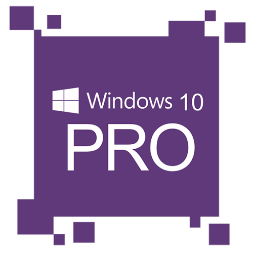 Windows 10 Professional | 1 PC activation key | Online