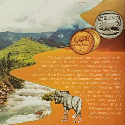 2002 S A Proof Set in Original SA Mint Box