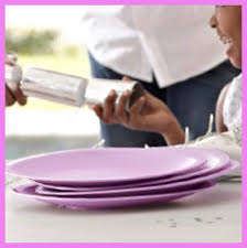 Tupperware Legacy Plates (4)  Microwaveable