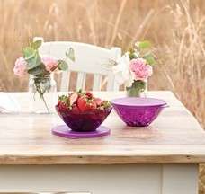 Tupperware  Stunning Prism Bowl Small Set (500ml X 2)