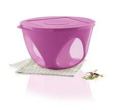 Tupperware Outdoor Dining Bowl 4.3L LARGE