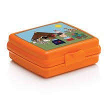 Tupperware Sandwich Keeper Square -  Flower Or Dinosaur or boys n girls