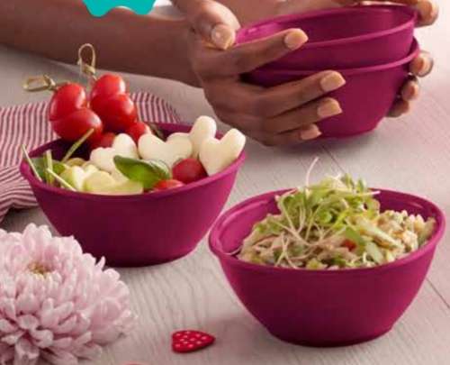 Tupperware Legacy Bowls (400ml x 4)