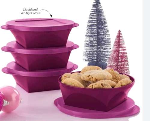 Tupperware Outdoor Dining Bowl Set (600ml x 4)