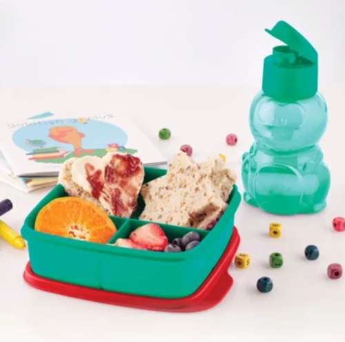 Tupperware Square divided dish & Penguin Eco 350ml flip cap bottle