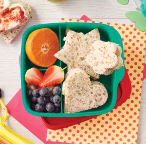 Tupperware Square divided dish & Penguin Eco 350ml flip cap bottle