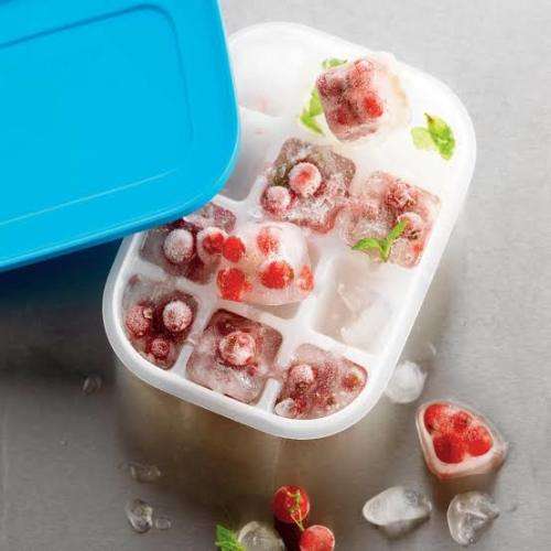 Tupperware Freezer Mates Set (4 items)2 x 450ml, 2 x 230ml ice trays IDEAL SPACE SOLUTI