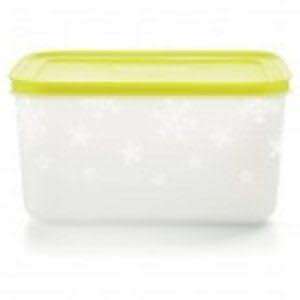 Tupperware Freezer Mates 2.5L (MINT LID) , 1L high x 2 & 400ml x 2 (TEAL  AND ORANGE LIDS)