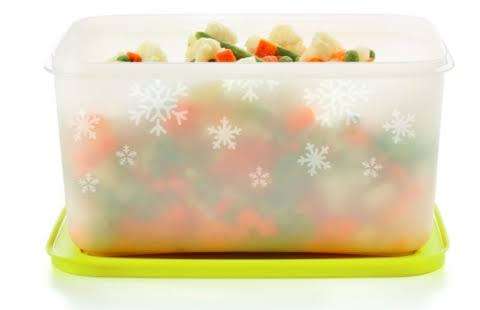 Tupperware Freezer Mates 2.5L (MINT LID) , 1L high x 2 & 400ml x 2 (TEAL  AND ORANGE LIDS)