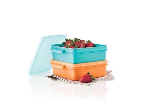 Tupperware Snack Set (850ml x 2)