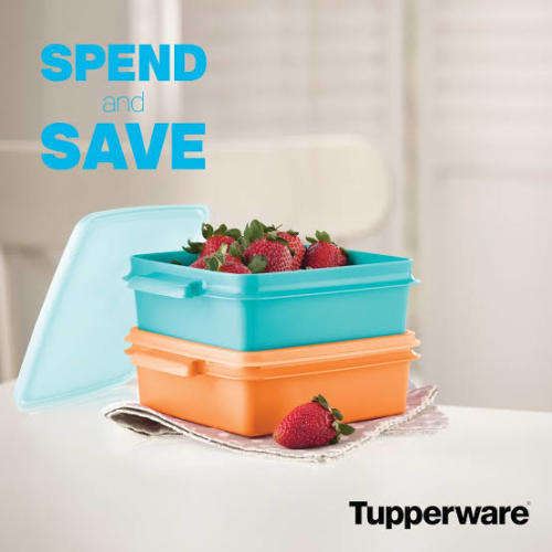 Tupperware Snack Set (850ml x 2)