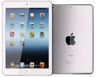 Apple iPad mini 16GB Wi-Fi