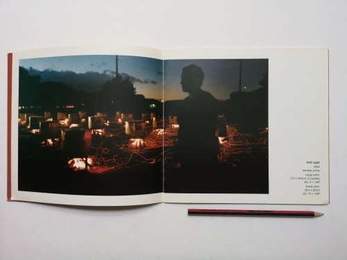 BERNI SEARLE: VAPOUR