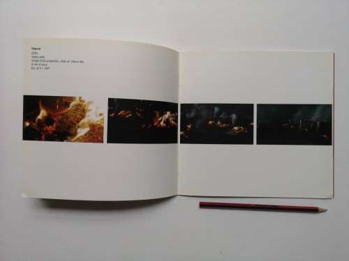 BERNI SEARLE: VAPOUR