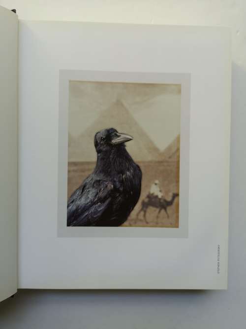 The Polaroid Book: Selections from the Polaroid Collections of Photography