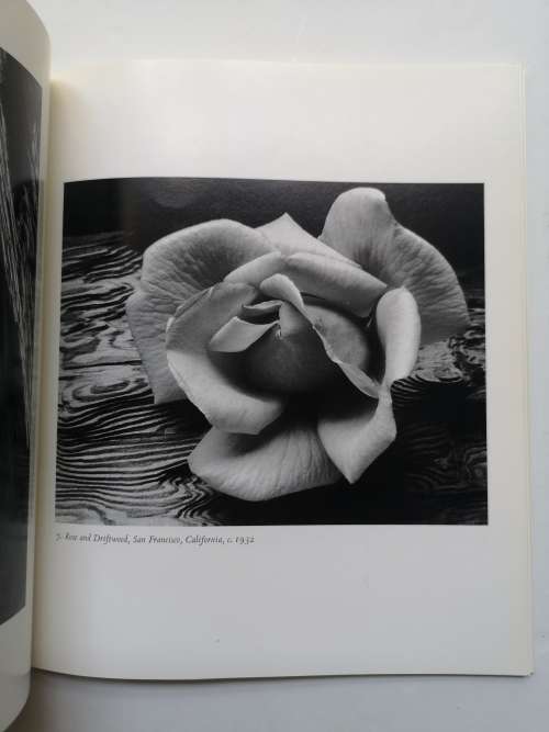 Ansel Adams: Classic Images