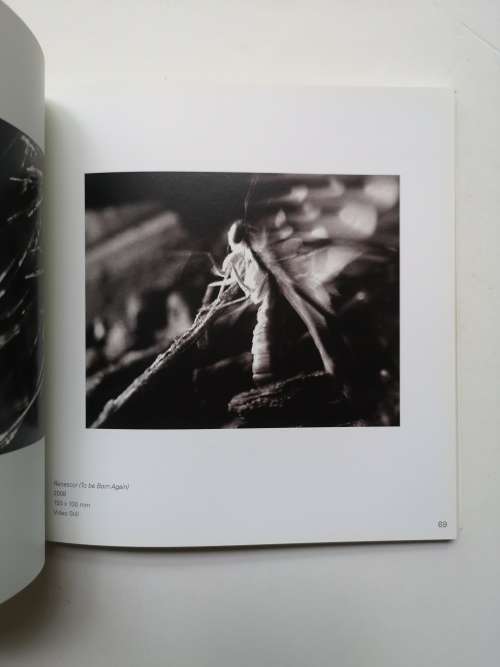 Michaelis School of Fine Art GRADUATE EXHIBITION 2008,