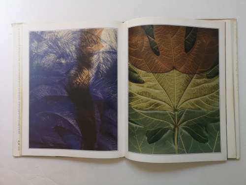 Sam Haskins: Photographics