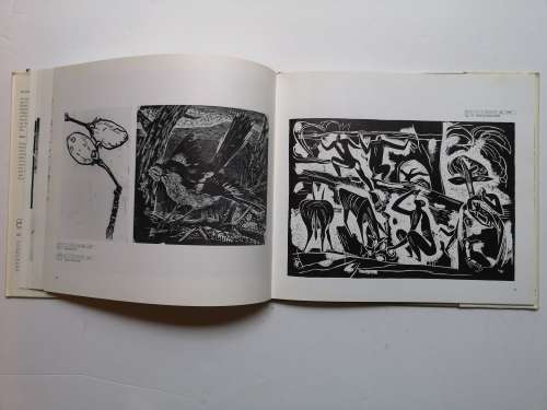 Walter Battiss: by  Murray Schoonraad (Struik Publishing)