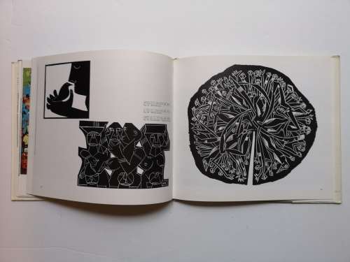 Walter Battiss: by  Murray Schoonraad (Struik Publishing)