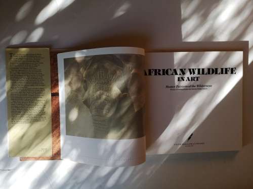 AFRICAN WILDLIFE IN ART: MASTER PAINTERS OF THE WILDERNESS Hardcover   1991 by DAVID TOMLINSO