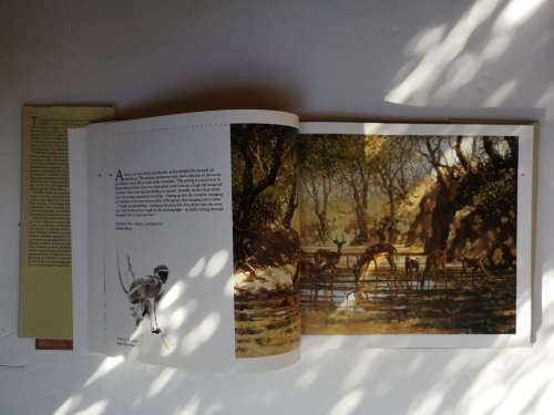 AFRICAN WILDLIFE IN ART: MASTER PAINTERS OF THE WILDERNESS Hardcover   1991 by DAVID TOMLINSO
