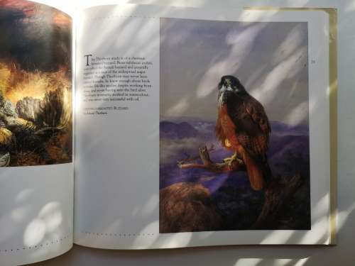AFRICAN WILDLIFE IN ART: MASTER PAINTERS OF THE WILDERNESS Hardcover   1991 by DAVID TOMLINSO