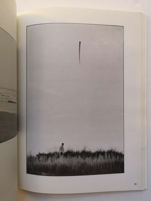 Recent Developments  by Elliott Erwitt