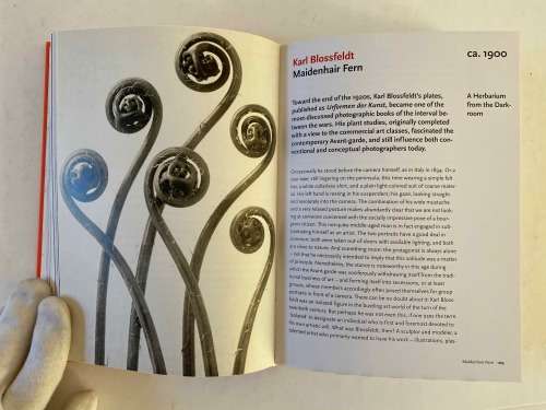 Photo Icons: The Story Behind the Pictures, 1827-1991 Book by Hans-Michael Koetzle