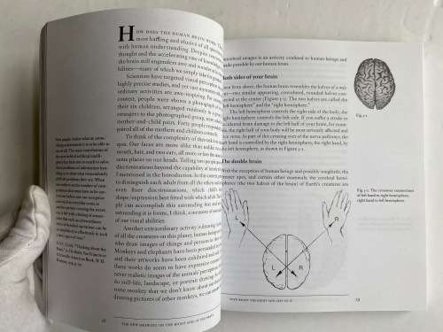 Drawing on the Right Side of the Brain Paperback by Betty Edwards