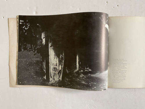 The Time of The Comrades by Themba Nkosi (South African Photographer) Skotaville Publishers