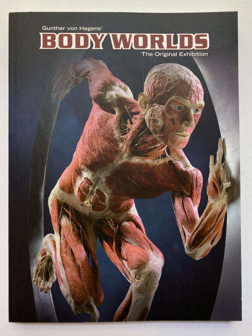 Body Worlds: The Original Exhibition of Real Human Bodies by Gunther von Hagen`s