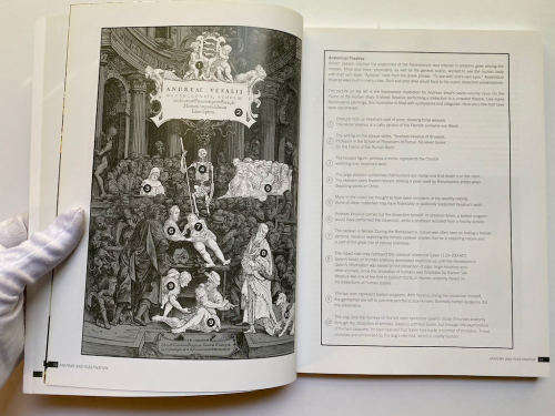 Body Worlds: The Original Exhibition of Real Human Bodies by Gunther von Hagen`s