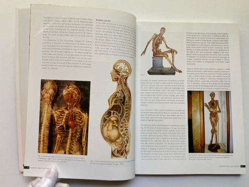 Body Worlds: The Original Exhibition of Real Human Bodies by Gunther von Hagen`s