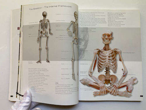 Body Worlds: The Original Exhibition of Real Human Bodies by Gunther von Hagen`s