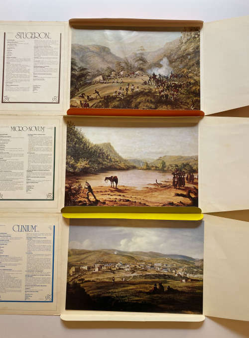 Thomas Baines Portfolio: Set of 12 prints