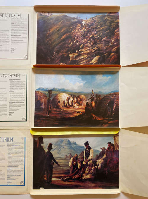 Thomas Baines Portfolio: Set of 12 prints