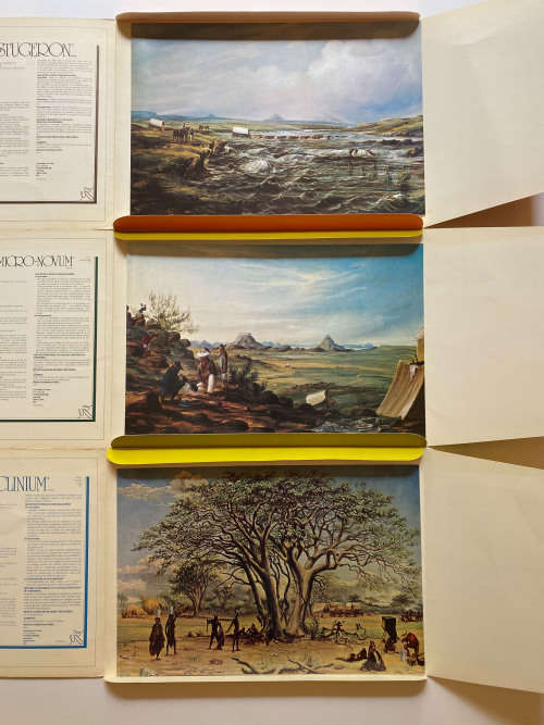 Thomas Baines Portfolio: Set of 12 prints