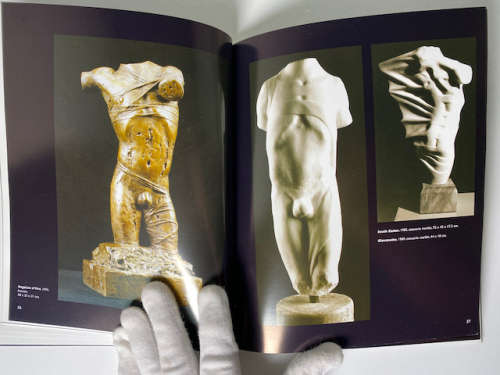 Caroline Van Der Merwe