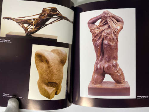 Caroline Van Der Merwe